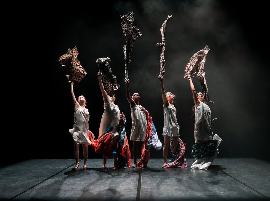 Maldonne Duy Laurent Tran