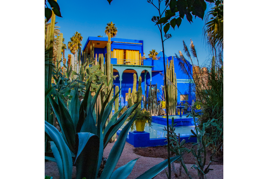 Majorelle Blue The Colour That Stole a Couturier's Heart