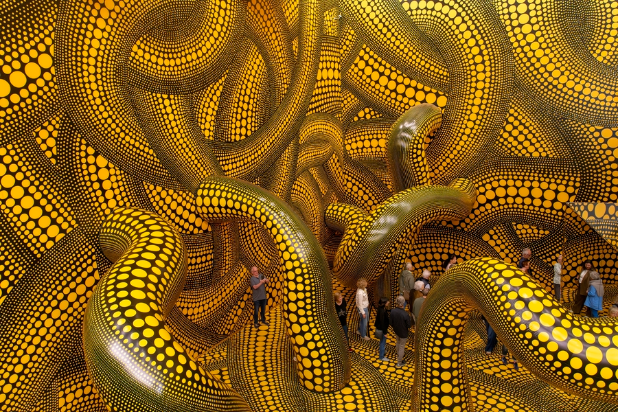 Infinite Vision